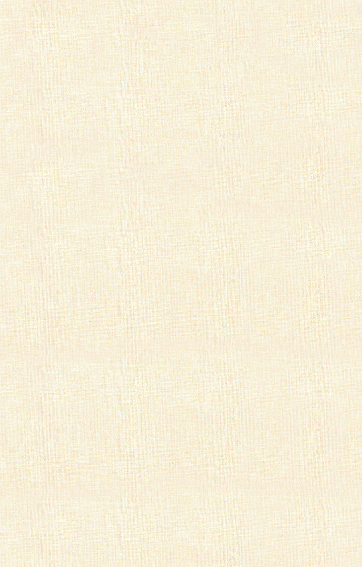 23743