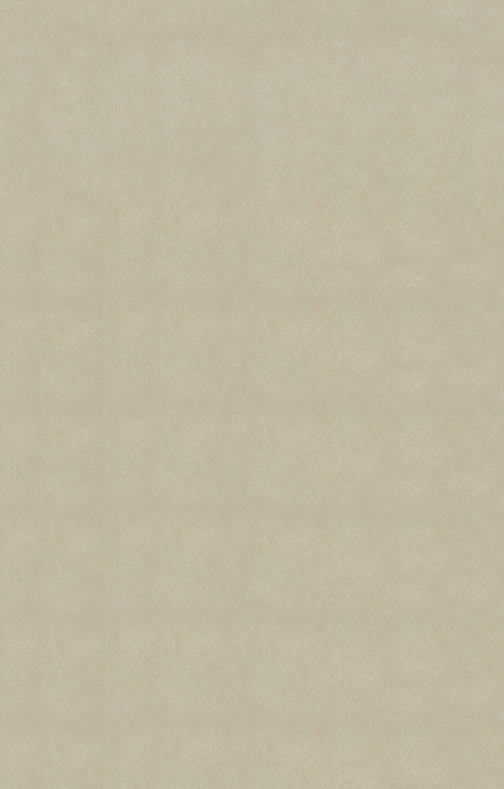 26850