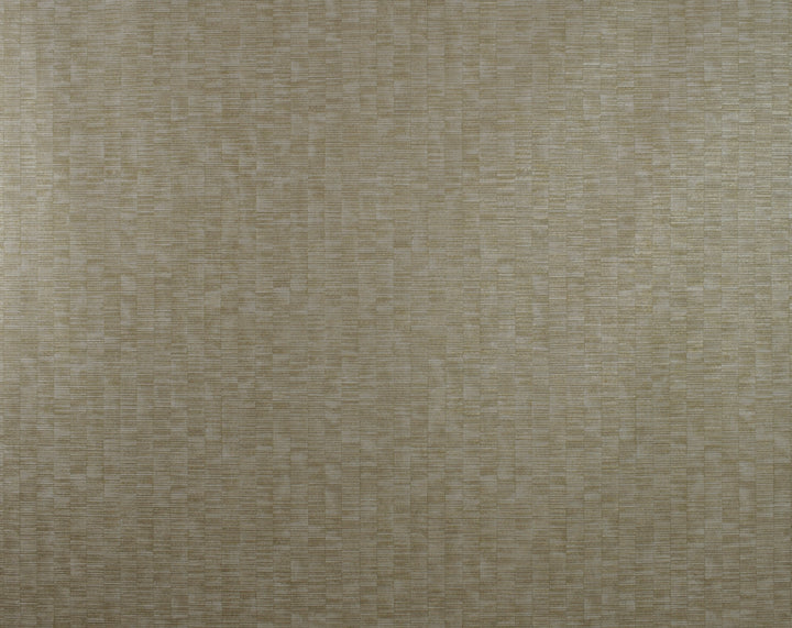 SK104-41869