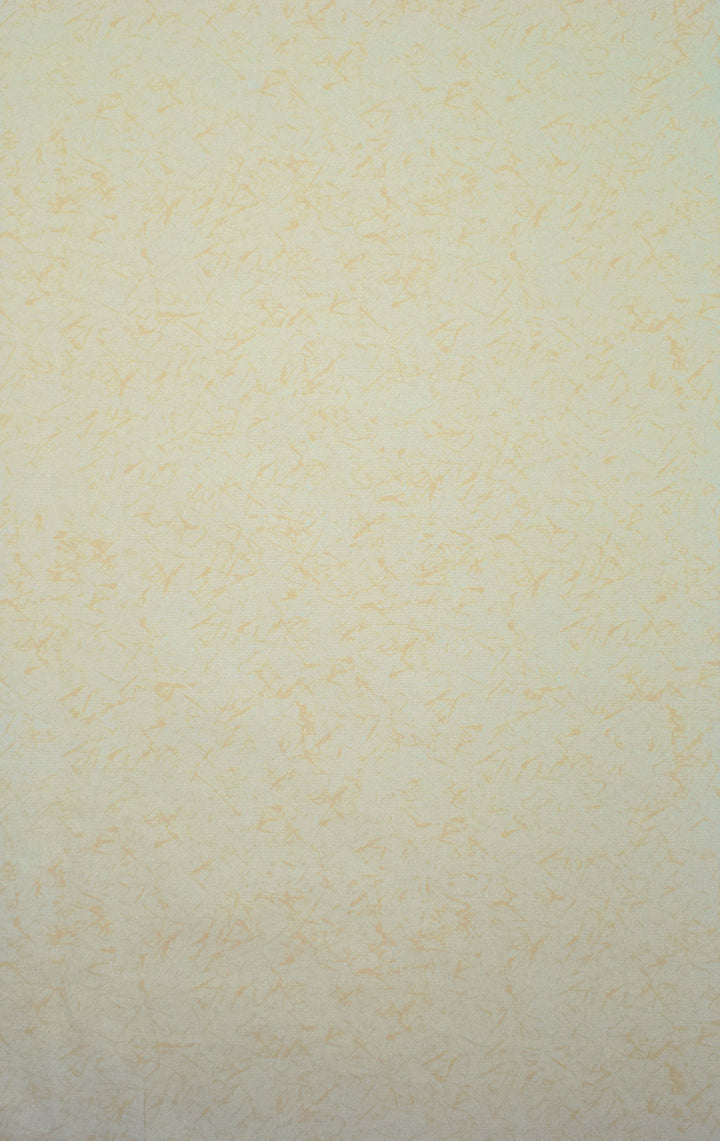 WE9518
