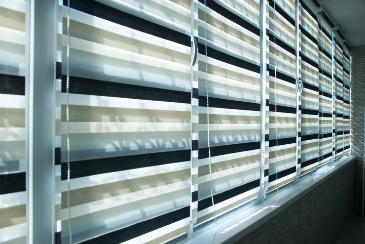 Zebra Blinds